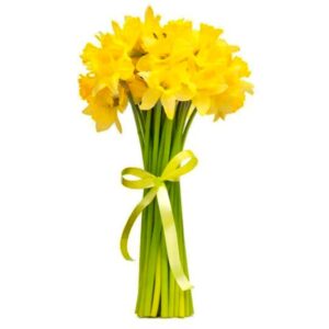 Букет 11 нарцисів Нінель