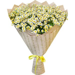 Букет 15 польових ромашок Ева