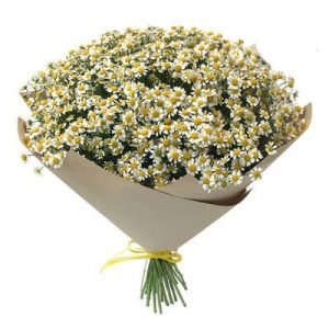 Букет польових ромашок Біла казка