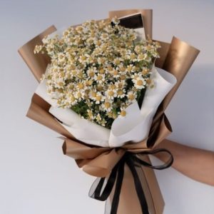 Букет польових ромашок Промені