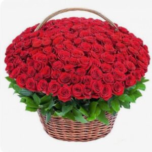 251 червона троянда букет в кошику Луїза