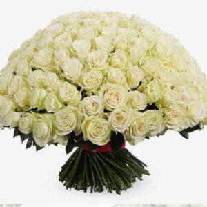 151 біла троянда Симфонія