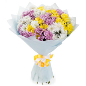 Букет 15 кольрових хризантем Міранда