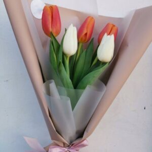 Букет 5 тюльпанів Паула