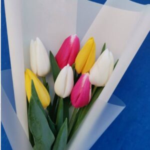 Букет 7 кольорових тюльпанів Космія