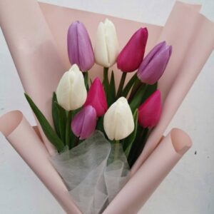 Букет 9 кольрових тюльпанів Квіта