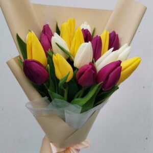 Букет із 21 кольрольового тюдьпану Клео