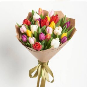 Букет із 35 кольрових тюльпанів Евора