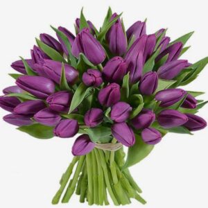 Букет 45 тюльпанів Фіона