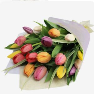 Букет 19 різнокольорових тюльпанів Соланж