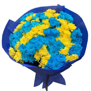 Букет 26 жовтих та блакитних хризантем Щит