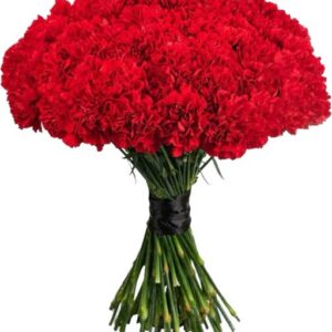 Букет 40 червоних гвоздик Шторм