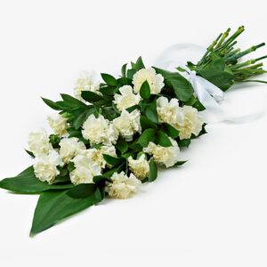 Букет 18 білих гвоздик Світла тиша