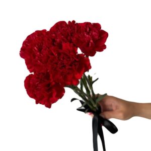 Букет 6 гвоздик Лінія