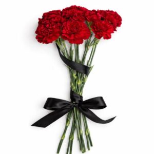 Букет 8 гвоздик Симетрія