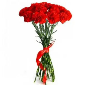Букет 12 черовних гвоздик Спокій