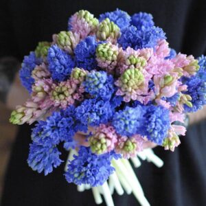 Букет із 35 гіацинтів  Тірена