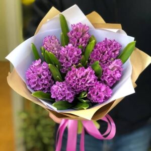 Букет 9 гіацинтів Олавія