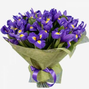 Букет 25 ірисів Долорес