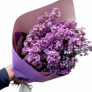 Букет із 7 гілок бузку Бруна