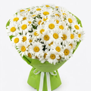 Букет 51 ромашка Легкість